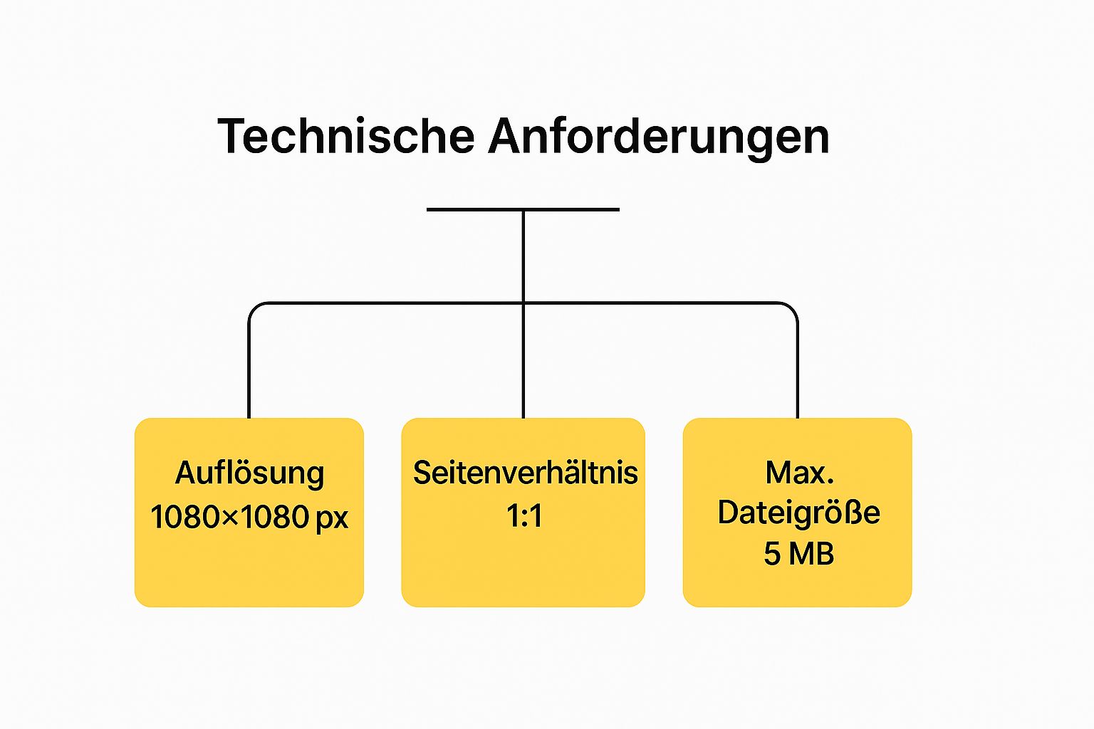 Infografik, die die technischen Anforderungen für Profilbilder zeigt: Auflösung 1080x1080 px, Seitenverhältnis 1:1 und maximale Dateigröße von 5 MB.