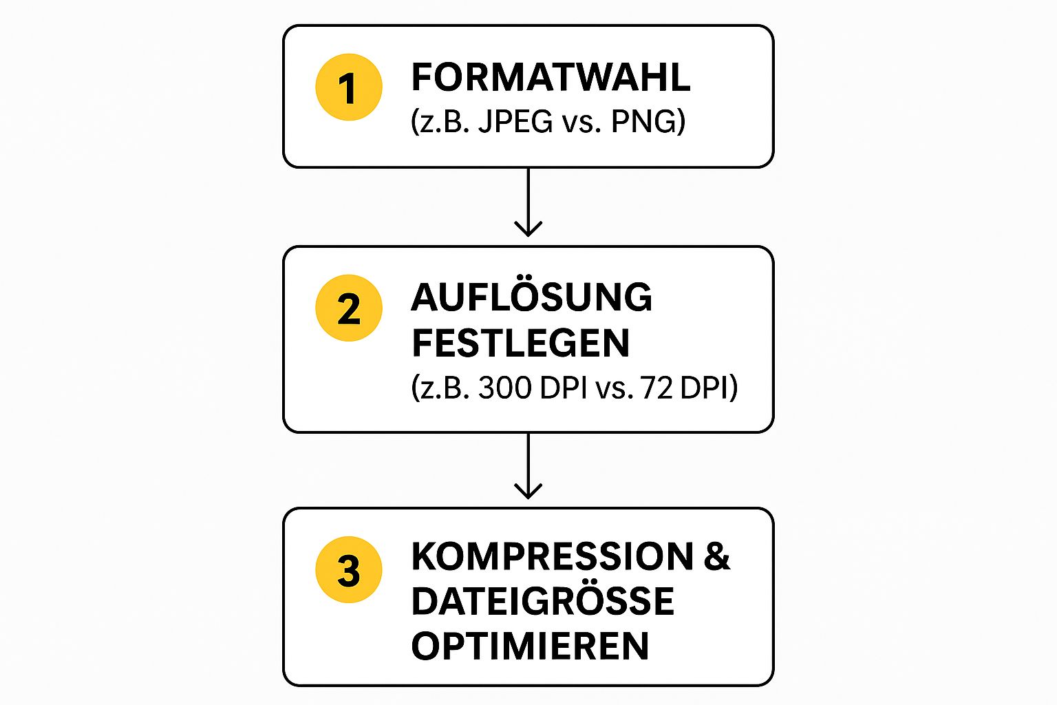Infographic about bildbearbeitung bewerbungsfoto